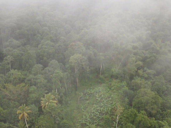 First image of Lot 268 Harkers Hall in Harkers Hall, St. Catherine, Jamaica - property is For Sale