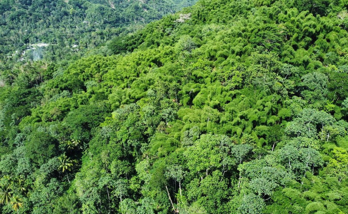 Third image of Lot 268 Harkers Hall in Harkers Hall, St. Catherine, Jamaica - property is For Sale