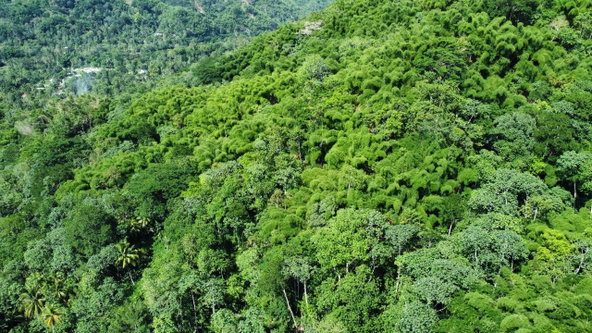 Third image of Lot 268 Harkers Hall in Harkers Hall, St. Catherine, Jamaica - property is For Sale