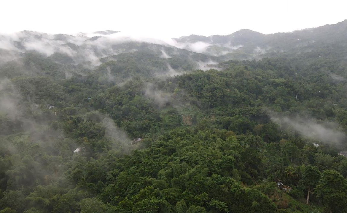 Fifth image of Lot 268 Harkers Hall in Harkers Hall, St. Catherine, Jamaica - property is For Sale