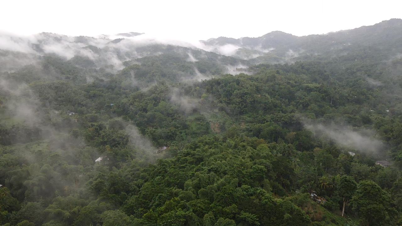 Fifth image of Lot 268 Harkers Hall in Harkers Hall, St. Catherine, Jamaica - property is For Sale