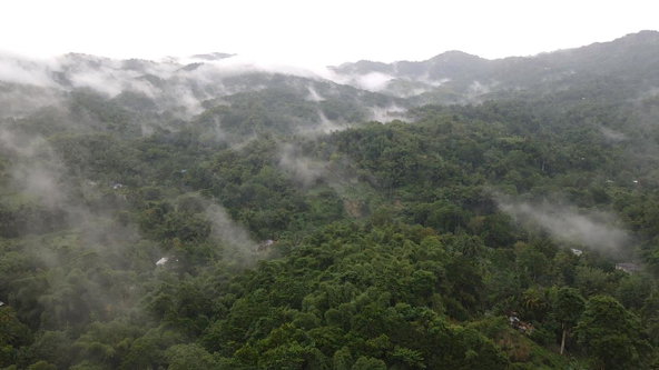 Fifth image of Lot 268 Harkers Hall in Harkers Hall, St. Catherine, Jamaica - property is For Sale