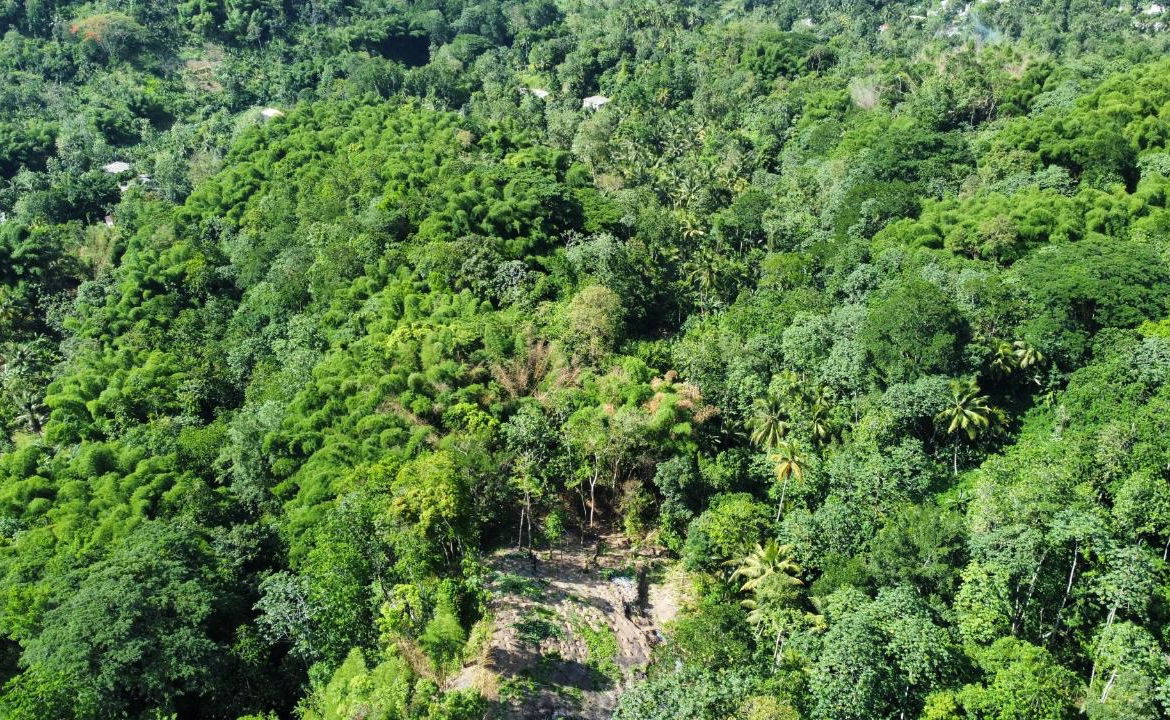 Sixth image of Lot 268 Harkers Hall in Harkers Hall, St. Catherine, Jamaica - property is For Sale