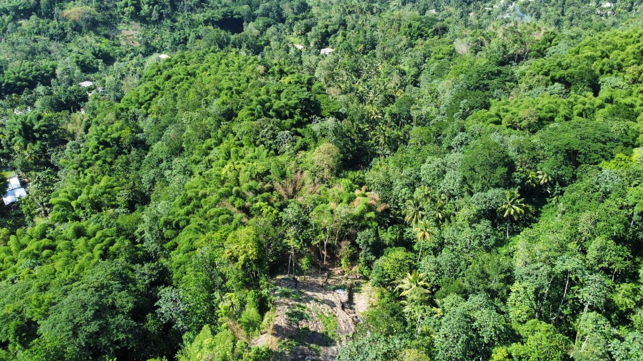 Sixth image of Lot 268 Harkers Hall in Harkers Hall, St. Catherine, Jamaica - property is For Sale