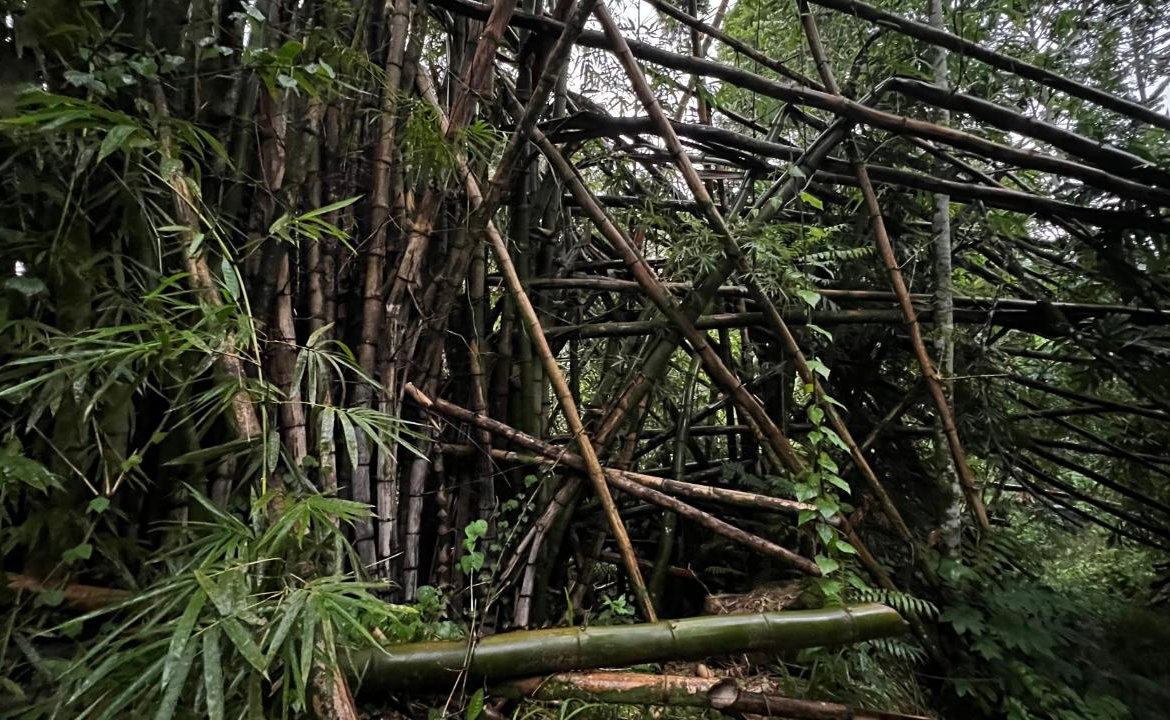 First image of 51 Harkers Hall in Harkers Hall, St. Catherine, Jamaica - property is For Sale