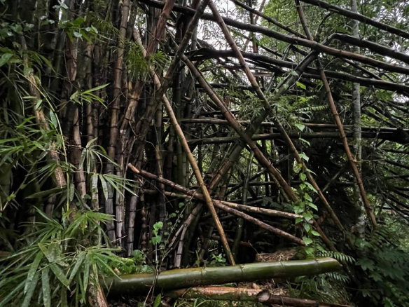 First image of 51 Harkers Hall in Harkers Hall, St. Catherine, Jamaica - property is For Sale