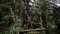 First image of 51 Harkers Hall in Harkers Hall, St. Catherine, Jamaica - property is For Sale