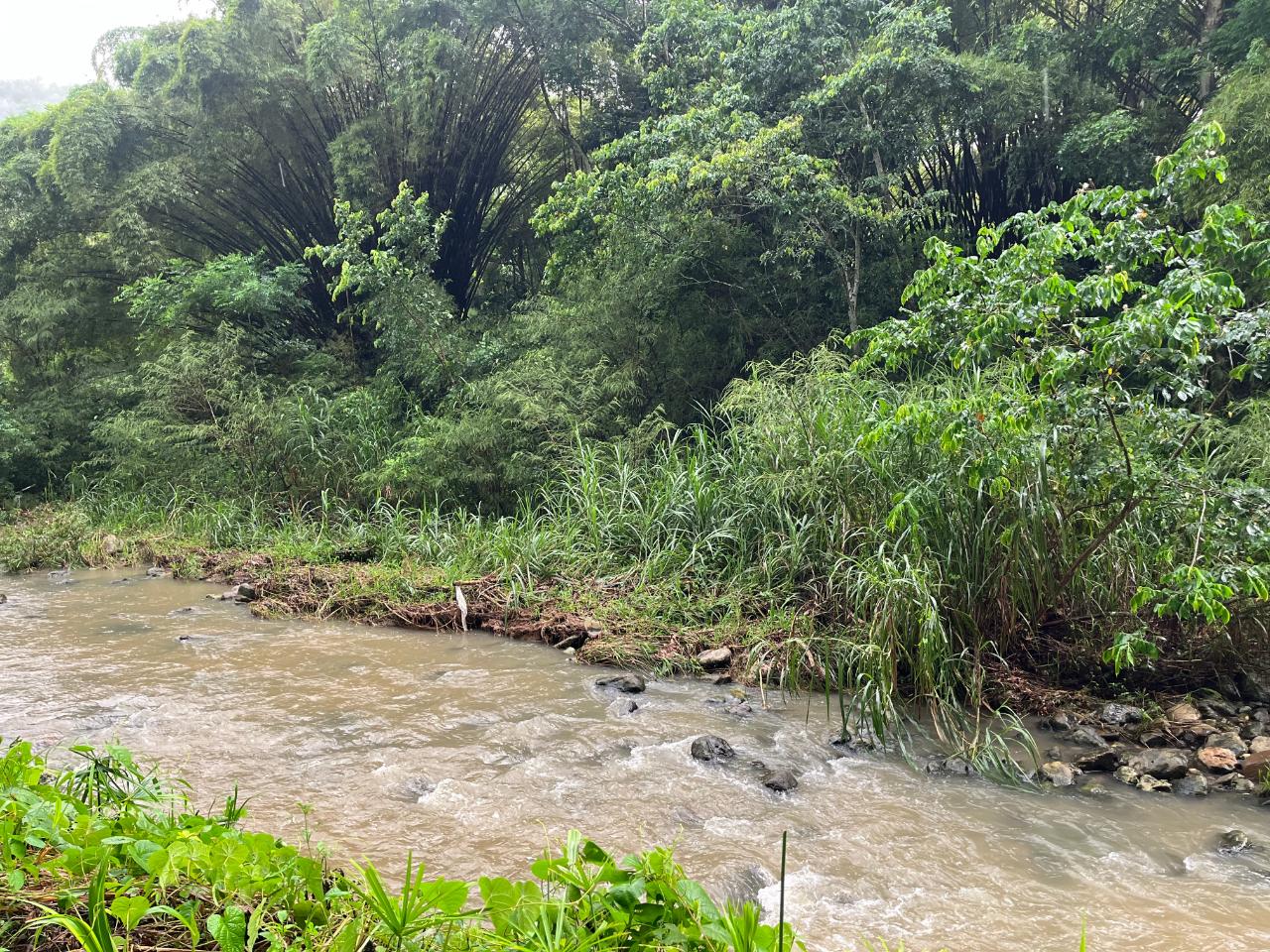 Seventh image of 51 Harkers Hall in Harkers Hall, St. Catherine, Jamaica - property is For Sale