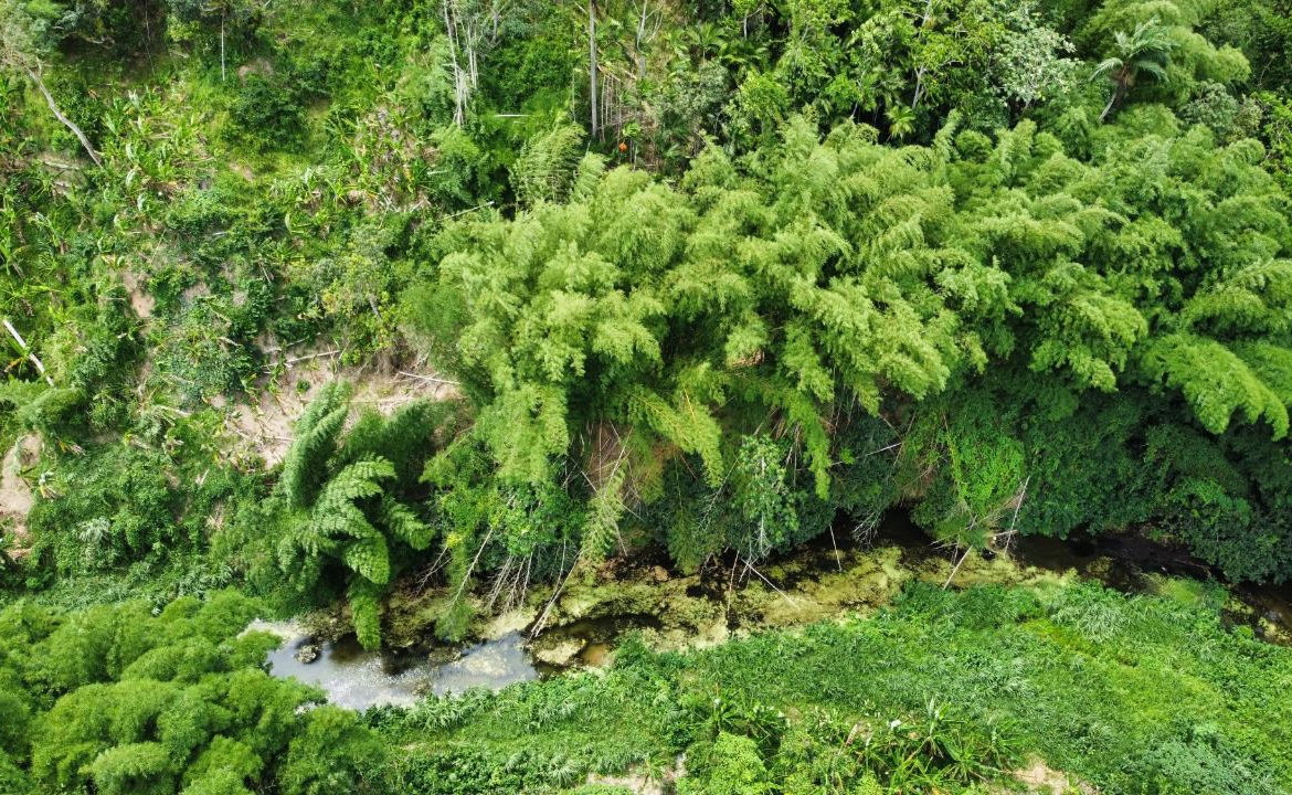 Ninth image of 51 Harkers Hall in Harkers Hall, St. Catherine, Jamaica - property is For Sale
