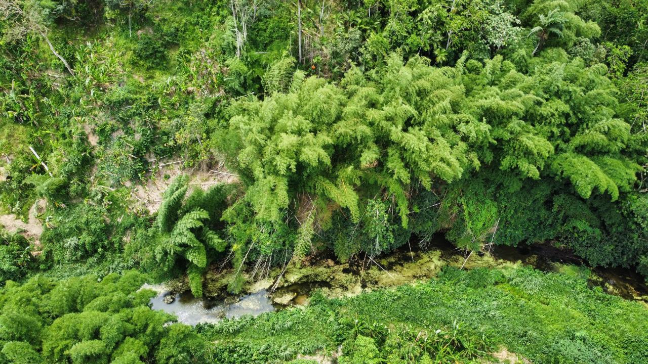 Ninth image of 51 Harkers Hall in Harkers Hall, St. Catherine, Jamaica - property is For Sale