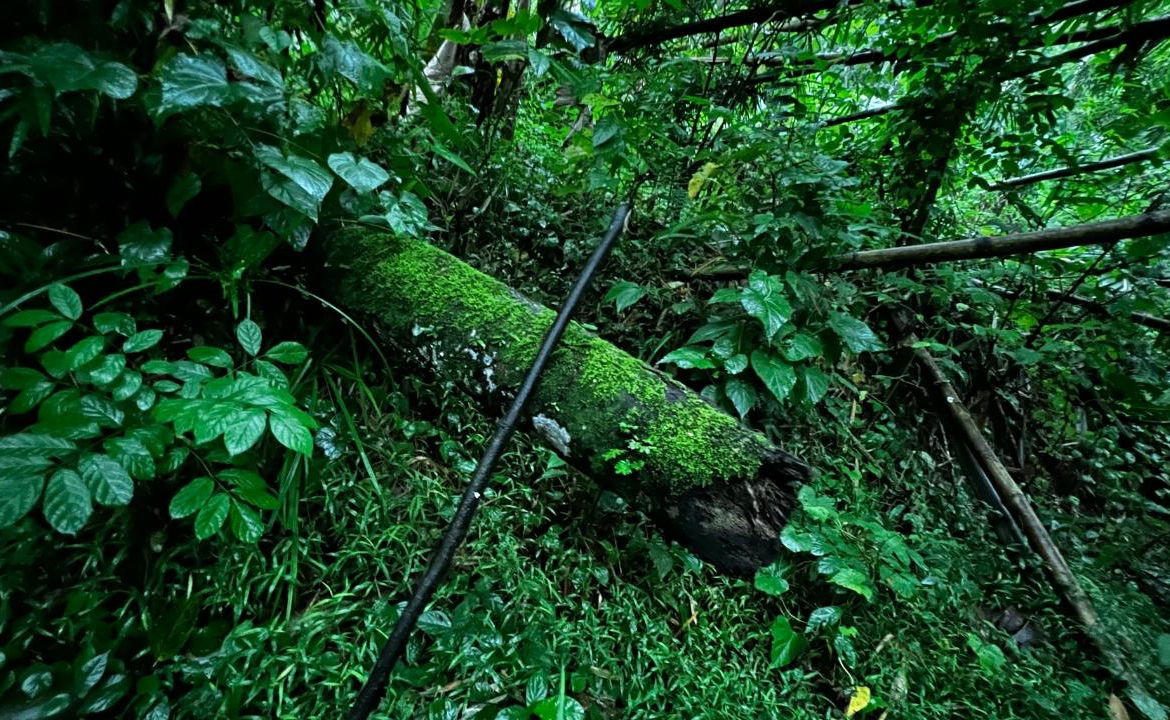 Eighth image of 199 Harkers Hall in Harkers Hall, St. Catherine, Jamaica - property is For Sale