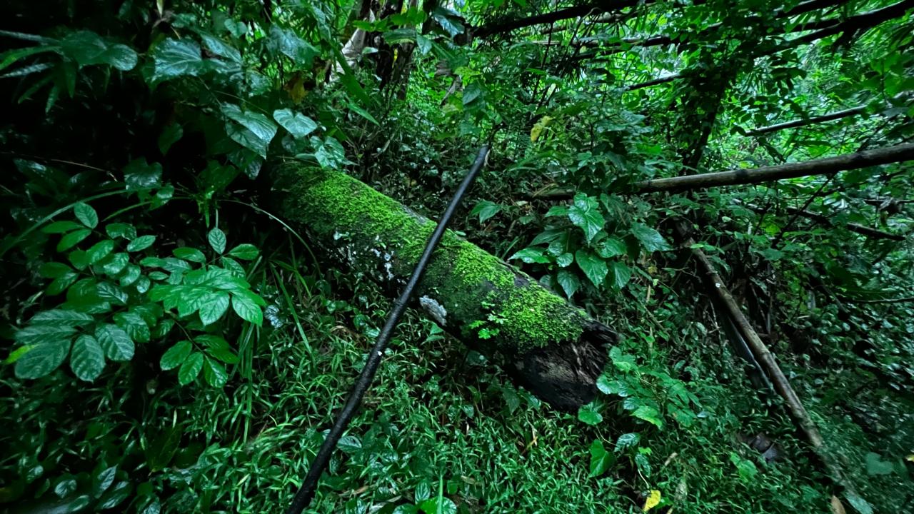 Eighth image of 199 Harkers Hall in Harkers Hall, St. Catherine, Jamaica - property is For Sale
