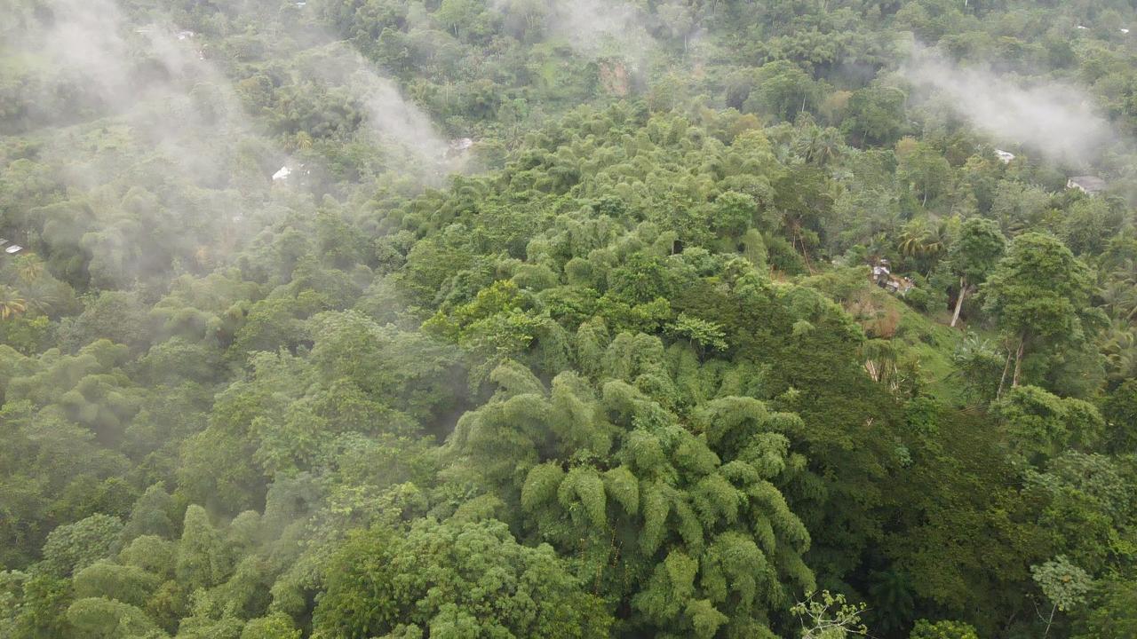 First image of 199 Harkers Hall in Harkers Hall, St. Catherine, Jamaica - property is For Sale