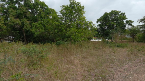Third image of 2 Chateau Road May Pen in May Pen, Clarendon, Jamaica - property is For Sale