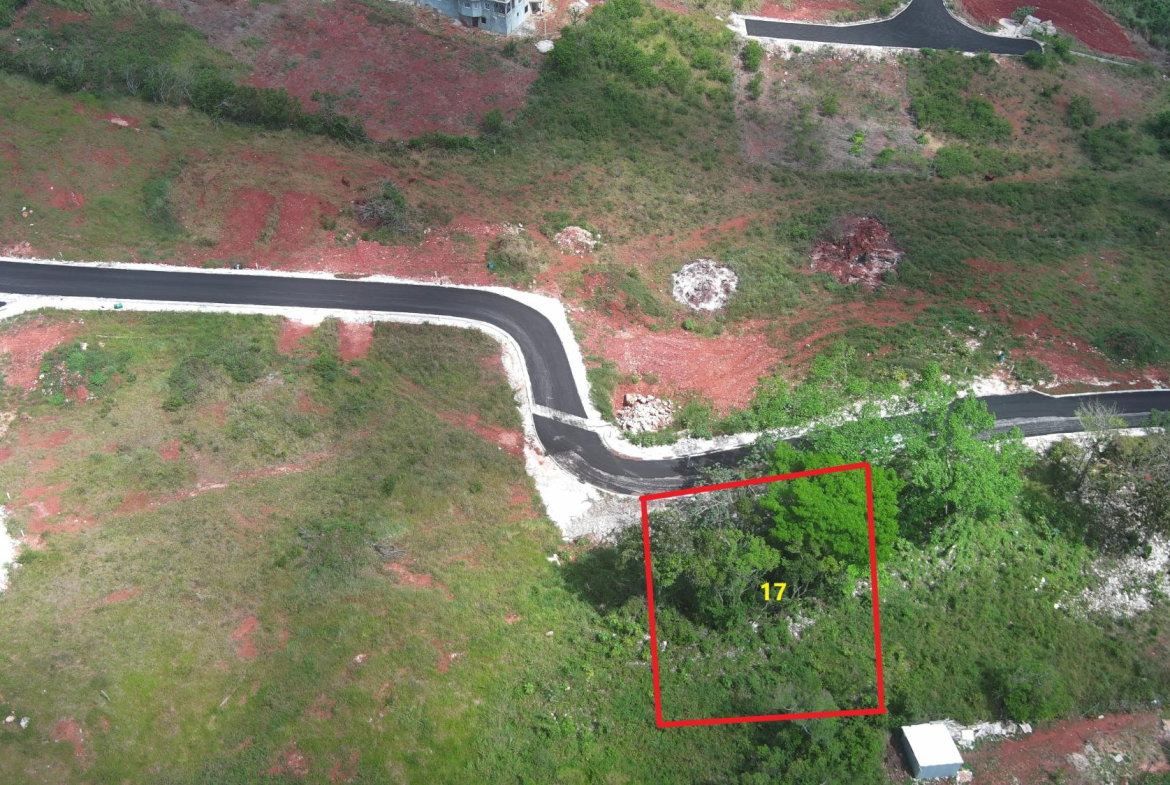 Fourth image of Lot 17 New Wales in Knockpatrick, Manchester, Jamaica - property is For Sale