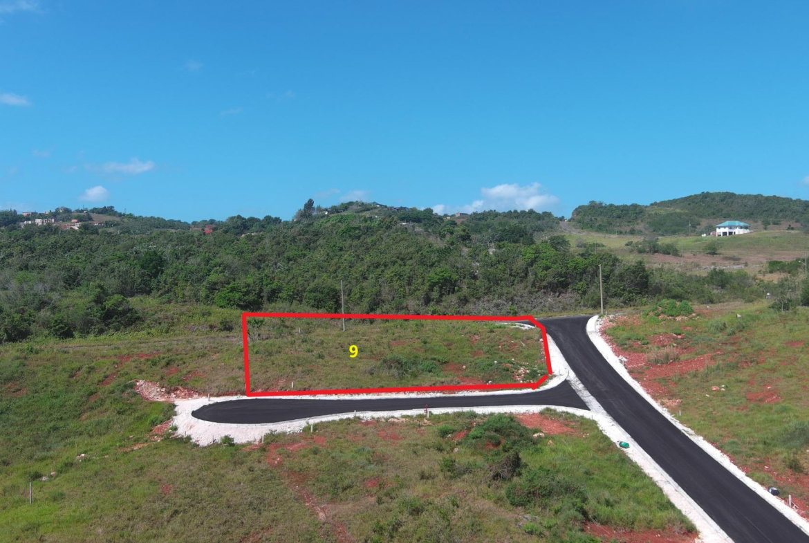 Third image of Lot 9 New Wales in Knockpatrick, Manchester, Jamaica - property is For Sale
