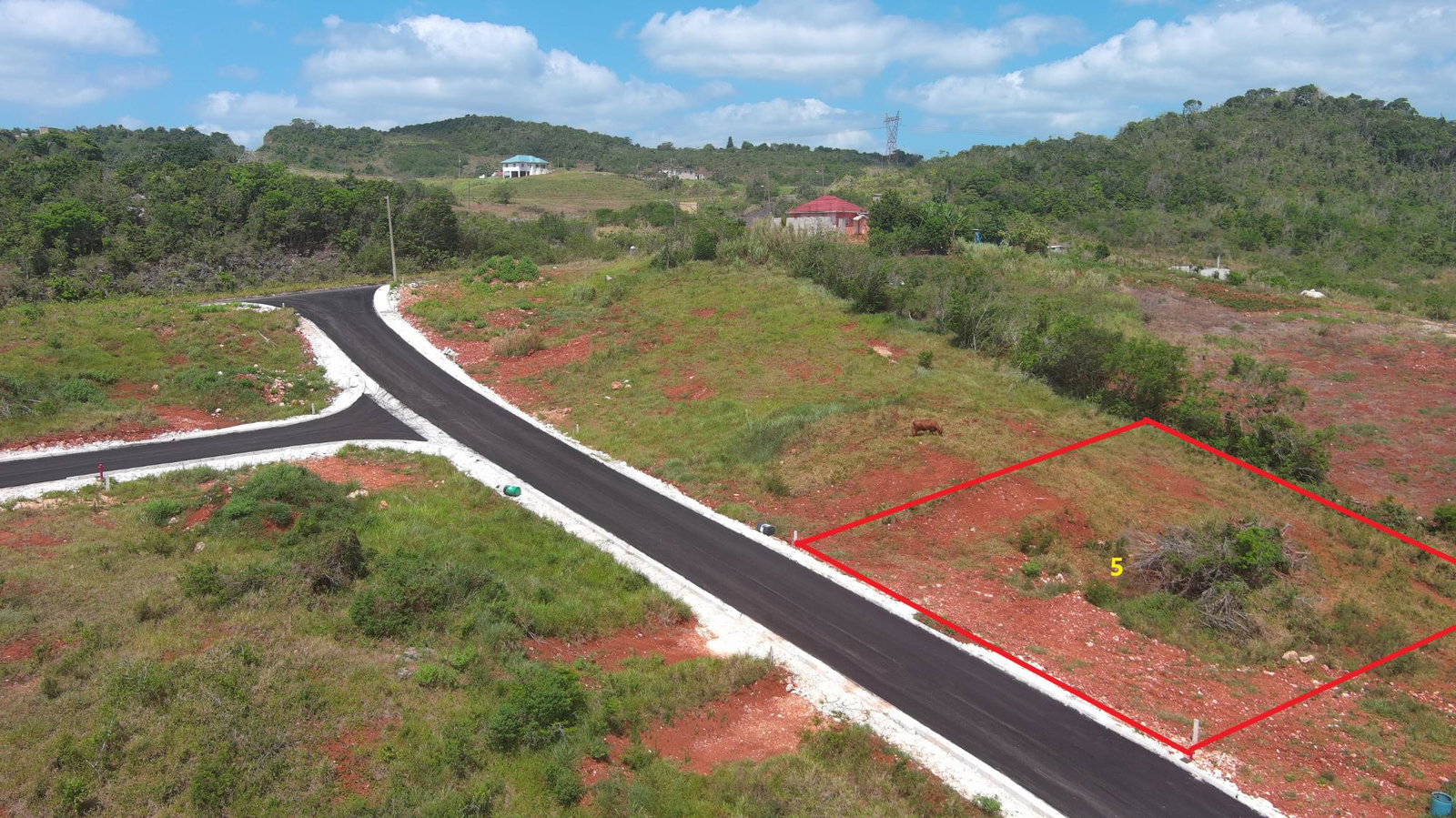 Fourth image of Lot 5 New Wales in Knockpatrick, Manchester, Jamaica - property is For Sale