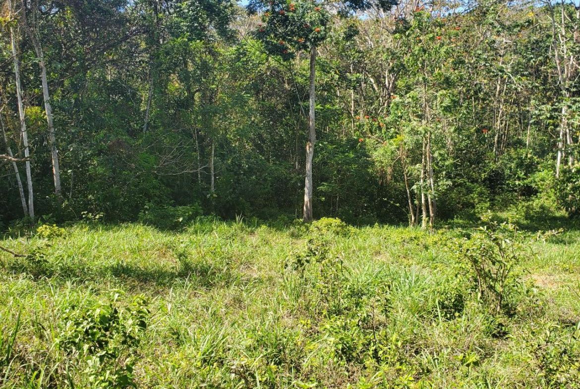 Eleventh image of Plantation Heights Road in Cambridge, St. James, Jamaica - property is For Sale
