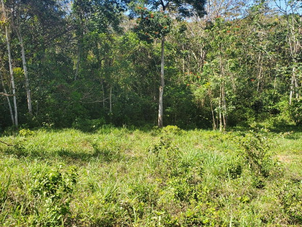 Eleventh image of Plantation Heights Road in Cambridge, St. James, Jamaica - property is For Sale