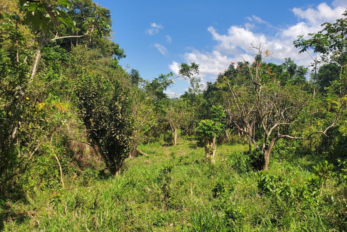 Twelfth image of Plantation Heights Road in Cambridge, St. James, Jamaica - property is For Sale