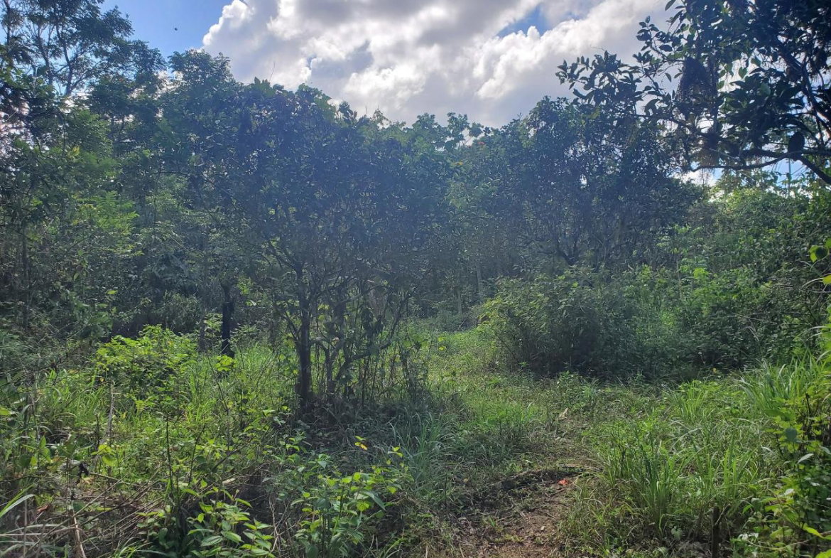 First image of Plantation Heights Road in Cambridge, St. James, Jamaica - property is For Sale