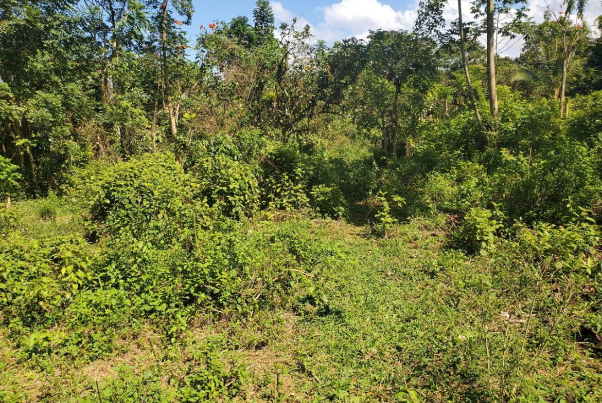 Thirteenth image of Plantation Heights Road in Cambridge, St. James, Jamaica - property is For Sale