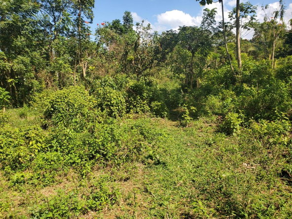 Thirteenth image of Plantation Heights Road in Cambridge, St. James, Jamaica - property is For Sale