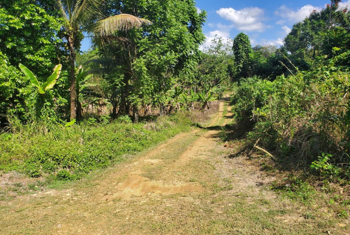 Fourteenth image of Plantation Heights Road in Cambridge, St. James, Jamaica - property is For Sale