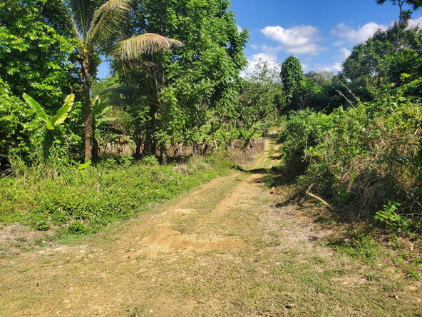 Fourteenth image of Plantation Heights Road in Cambridge, St. James, Jamaica - property is For Sale