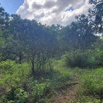 First image of Plantation Heights Road in Cambridge, St. James, Jamaica - property is For Sale