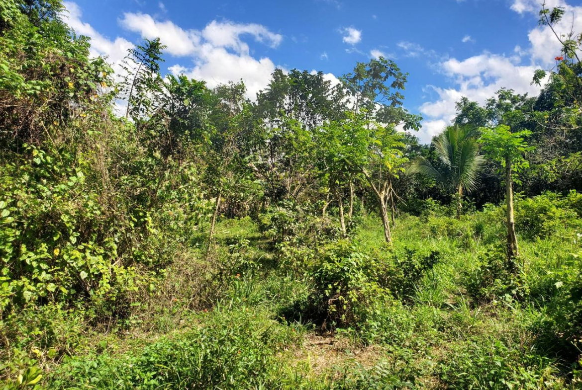 Fourth image of Plantation Heights Road in Cambridge, St. James, Jamaica - property is For Sale