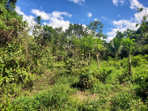 Fourth image of Plantation Heights Road in Cambridge, St. James, Jamaica - property is For Sale