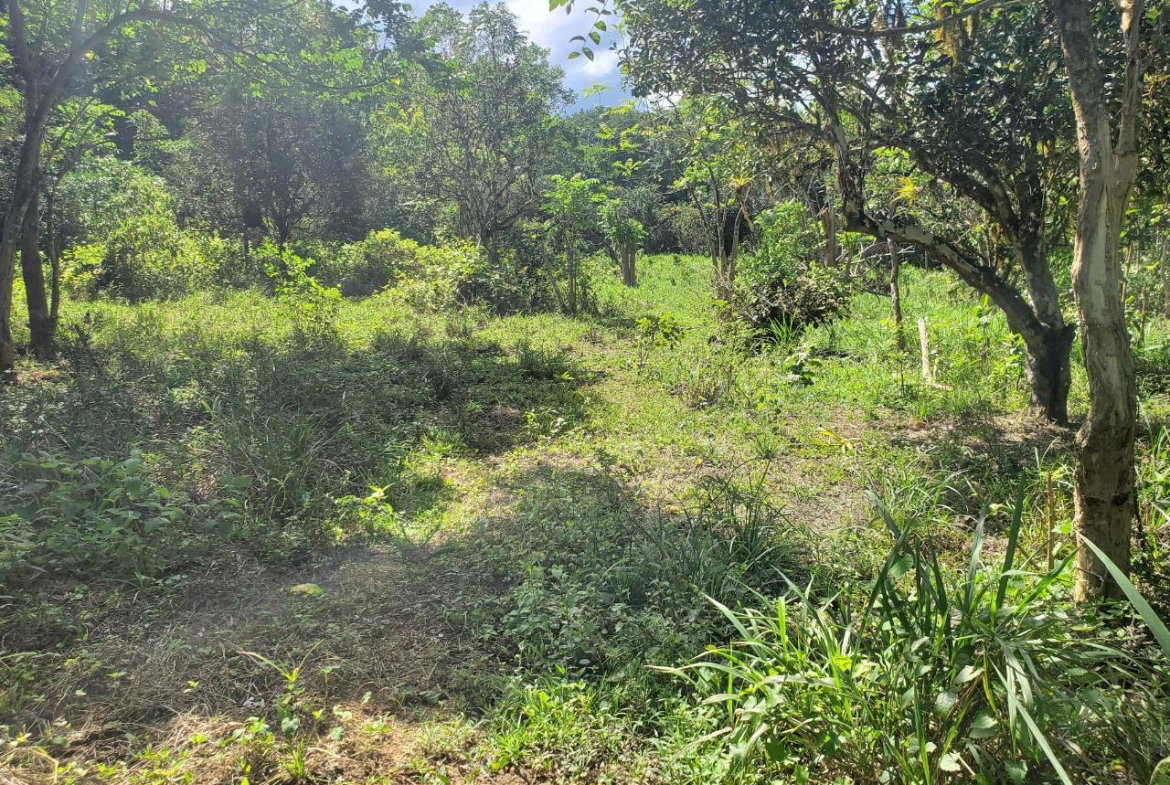 Fifth image of Plantation Heights Road in Cambridge, St. James, Jamaica - property is For Sale