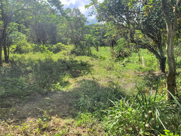 Fifth image of Plantation Heights Road in Cambridge, St. James, Jamaica - property is For Sale