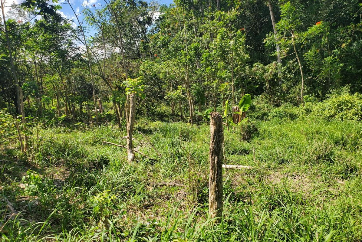 Sixth image of Plantation Heights Road in Cambridge, St. James, Jamaica - property is For Sale