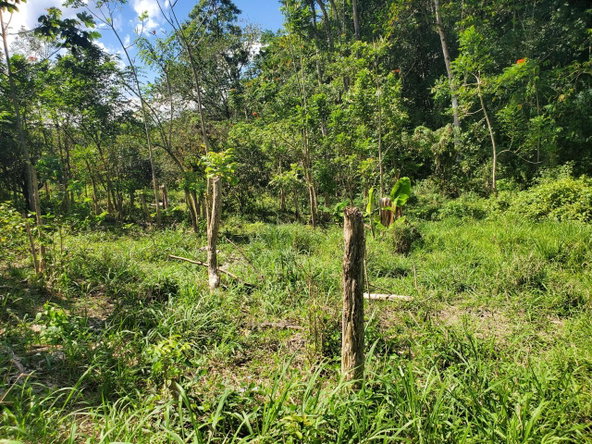 Sixth image of Plantation Heights Road in Cambridge, St. James, Jamaica - property is For Sale