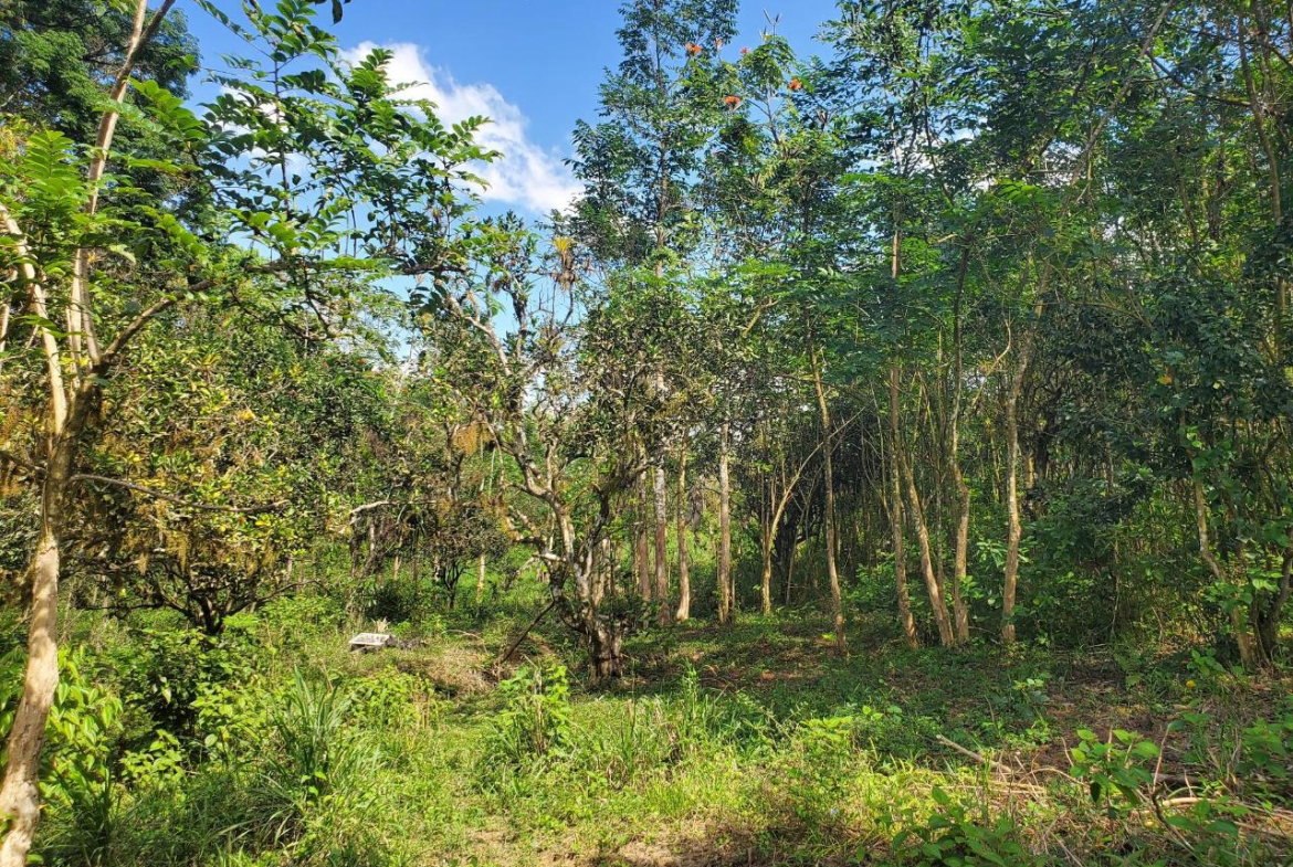 Ninth image of Plantation Heights Road in Cambridge, St. James, Jamaica - property is For Sale