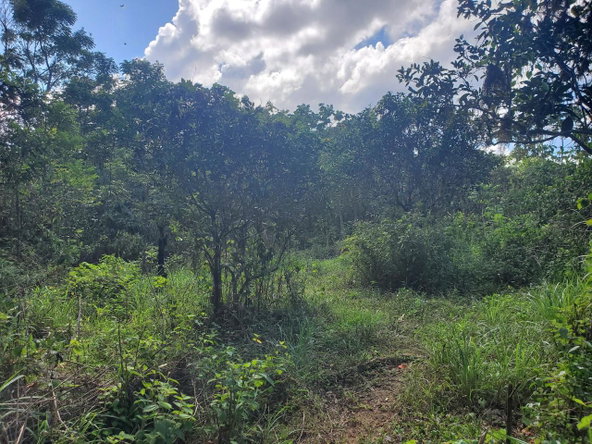 First image of Plantation Heights Road in Cambridge, St. James, Jamaica - property is For Sale