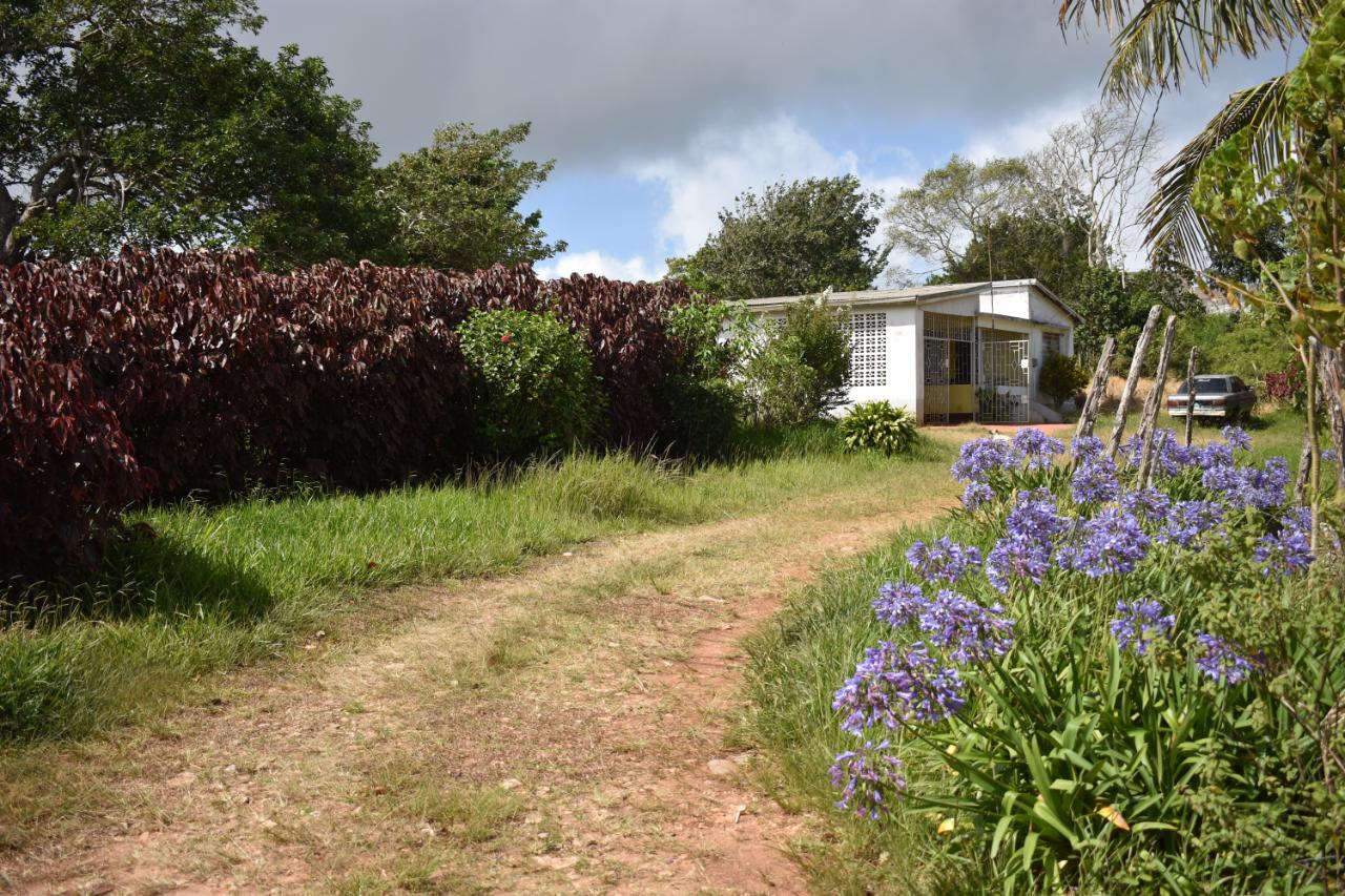 Second image of Spur Tree in Spur Tree, Manchester, Jamaica - property is For Sale