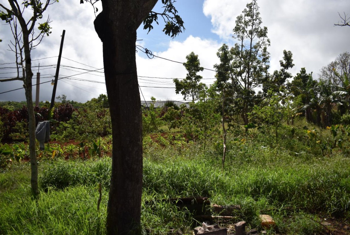 Twelfth image of Spur Tree in Spur Tree, Manchester, Jamaica - property is For Sale