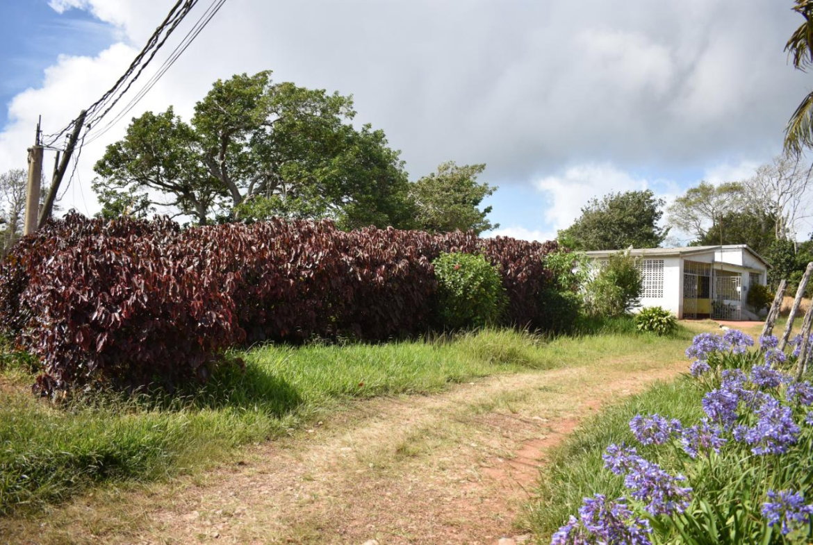 First image of Spur Tree in Spur Tree, Manchester, Jamaica - property is For Sale