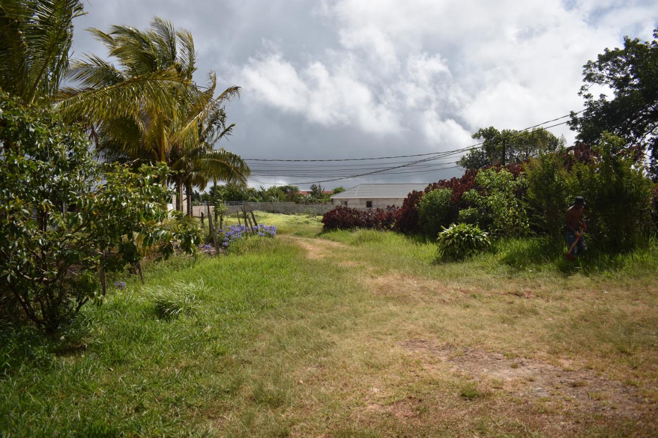Thirteenth image of Spur Tree in Spur Tree, Manchester, Jamaica - property is For Sale