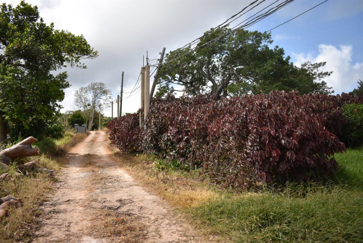 Fifteenth image of Spur Tree in Spur Tree, Manchester, Jamaica - property is For Sale