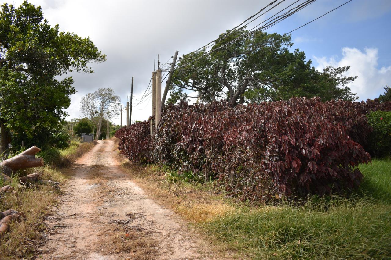 Fifteenth image of Spur Tree in Spur Tree, Manchester, Jamaica - property is For Sale