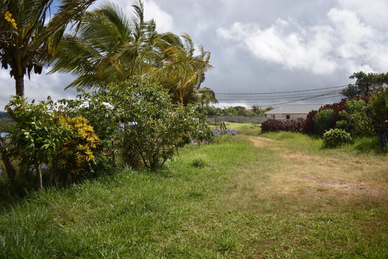 Sixteenth image of Spur Tree in Spur Tree, Manchester, Jamaica - property is For Sale