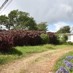 First image of Spur Tree in Spur Tree, Manchester, Jamaica - property is For Sale