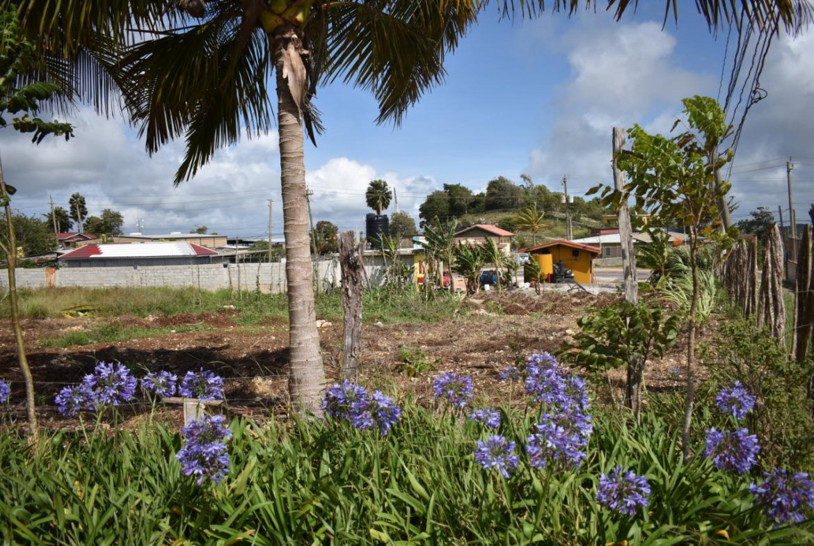 Nineteenth image of Spur Tree in Spur Tree, Manchester, Jamaica - property is For Sale