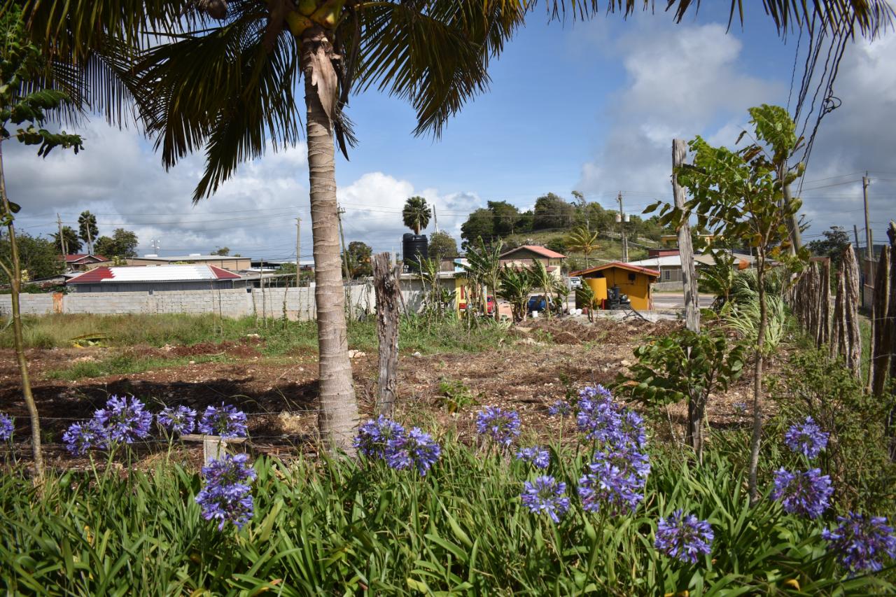 Nineteenth image of Spur Tree in Spur Tree, Manchester, Jamaica - property is For Sale