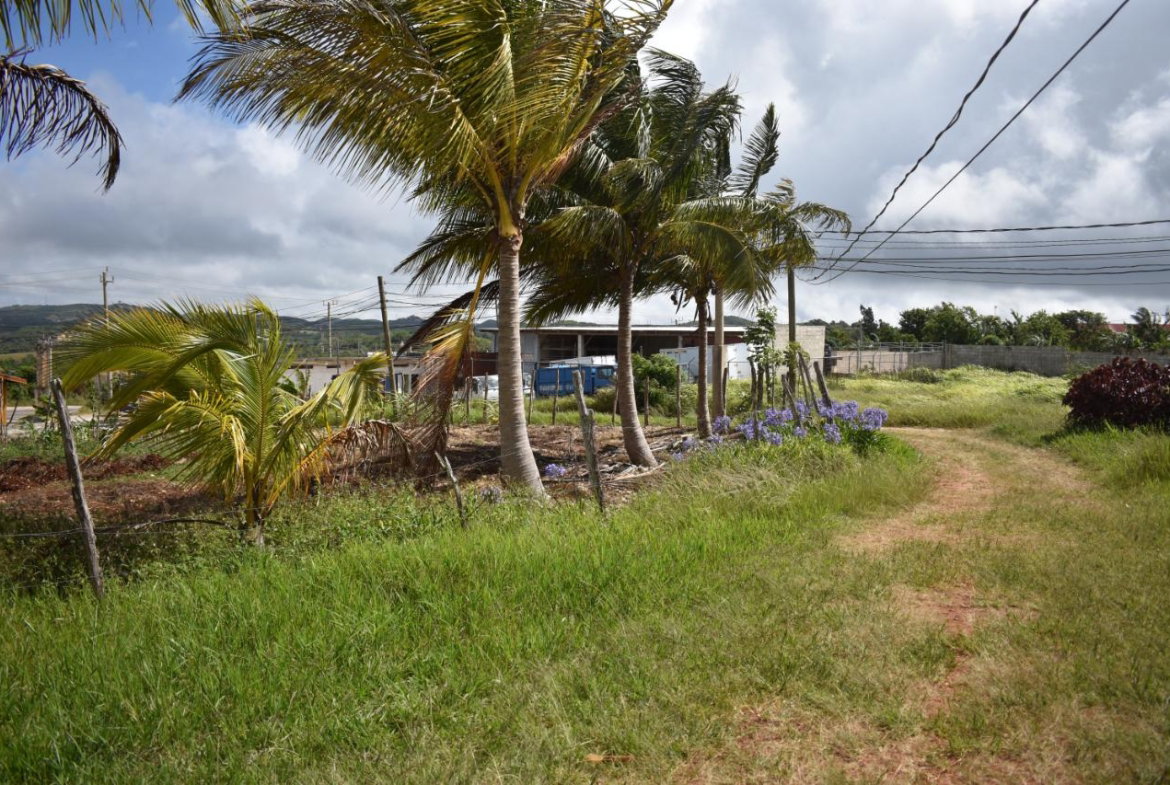 Fourth image of Spur Tree in Spur Tree, Manchester, Jamaica - property is For Sale