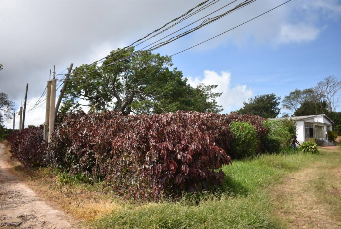 Fifth image of Spur Tree in Spur Tree, Manchester, Jamaica - property is For Sale